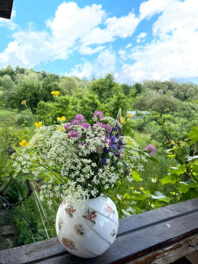 Livada Lui Papu Villa Szolnokháza Kültér fotó